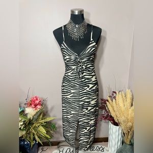 Zebra Striped Lace Dress